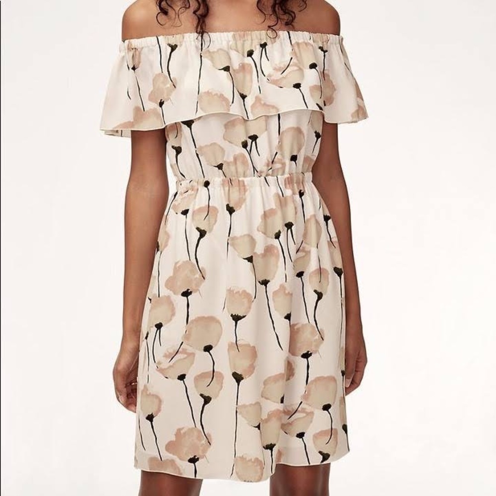Aritzia Wilfred Hosta Dress in Oak/Prima Floral